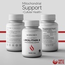 urolithin-a-500mg---proprietary-blend-fo-2.jpg