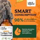 wild-organic-turkey-tail-mushroom-tinctu-4.jpg