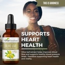 herbal-goodness-olive-leaf-extract-liqui-5.jpg