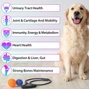 dog-multivitamin15-in-1-dog-multivitamin-2.jpg