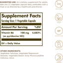 solgar-vitamin-b6-100-mg---100-vegetable-2.jpg