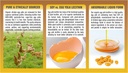 pharmakon-organic-egg-yolk-lecithin-4.jpg