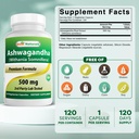 best-naturals-ashwagandha-extract-500-mg-2.jpg