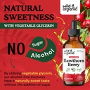 wild-organic-hawthorn-berry-tincture-600-6.jpg