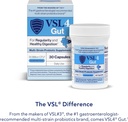 vsl4-gut-daily-probiotics-for-gut-health-3.jpg