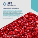 life-extension-endothelial-defense-pomeg-5.jpg
