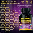 sea-moss-capsules-17-in-1-blend-with-bla-2.jpg
