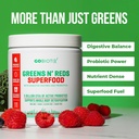 gobiotix-greens-powder---superfood-with--3.jpg