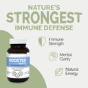 boosted-health-9-mushroom-complex-immune-2.jpg