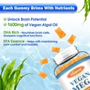 2-pack-omega-3-gummies-potent-algae-omeg-2.jpg