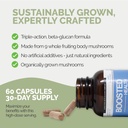 boosted-health-9-mushroom-complex-immune-6.jpg