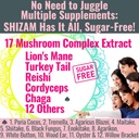 sugar-free-shilajit-mushroom-complex-gum-2.jpg