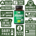 peak-performance-usda-organic-spearmint--4.jpg