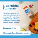 doctors-best-l-carnitine-fumarate-from-b-5.jpg