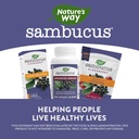 natures-way-sambucus-advanced-immune-cap-6.jpg