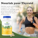 ridgecrest-herbals-thyronourish-thyroid--6.jpg