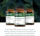 gaia-herbs-pro-glutathione-500---antioxi-6.jpg