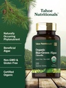 carlyle-chlorella-blue-green-algae-250mg-4.jpg