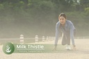 pure-original-ingredients-milk-thistle-1-5.jpg