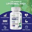 900mg-liposomal-nad-supplement-with-300m-5.jpg