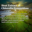 biopure-chlorella-growth-factor-liquid-n-5.jpg