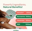glucosamine-chondroitin-msm-with-univest-6.jpg