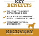 winpro-recovery-soft-chews-for-dogs-plas-2.jpg