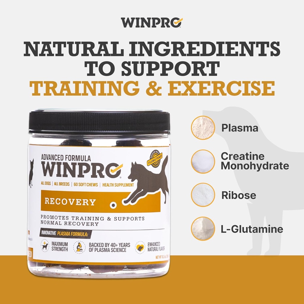 winpro-recovery-soft-chews-for-dogs-plas-3.jpg