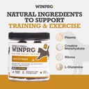winpro-recovery-soft-chews-for-dogs-plas-3.jpg