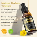 mullein-drops-for-lungs-natural-mullein--5.jpg