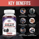 shilajit-gummies---himalayan-organic-shi-6.jpg