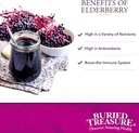 buried-treasure-elderberry-acf-with-4000-3.jpg