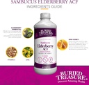 buried-treasure-elderberry-acf-with-4000-4.jpg