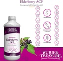 buried-treasure-elderberry-acf-with-4000-5.jpg