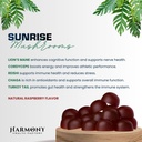 sunrise-10x-potency-mushroom-supplement--3.jpg