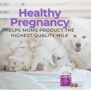 dr-orchards-pregnancy-pro-dog-prenatal-v-2.jpg