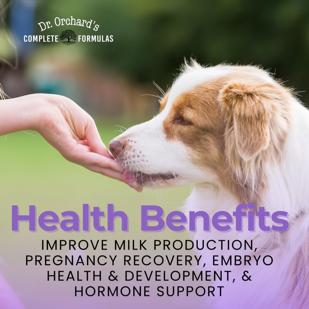 dr-orchards-pregnancy-pro-dog-prenatal-v-4.jpg