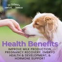 dr-orchards-pregnancy-pro-dog-prenatal-v-4.jpg