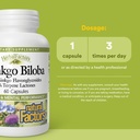 herbalfactors-by-natural-factors-ginkgo--3.jpg