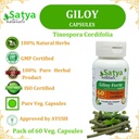 giloy-forte-capsules-500-mg-60-veg-capsu-5.jpg