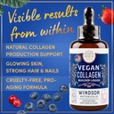 vegan-collagen-builder-liquid---vitamin--2.jpg