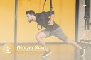 pure-original-ingredients-ginger-root-10-5.jpg