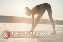 pure-original-ingredients-turkey-tail-mu-5.jpg