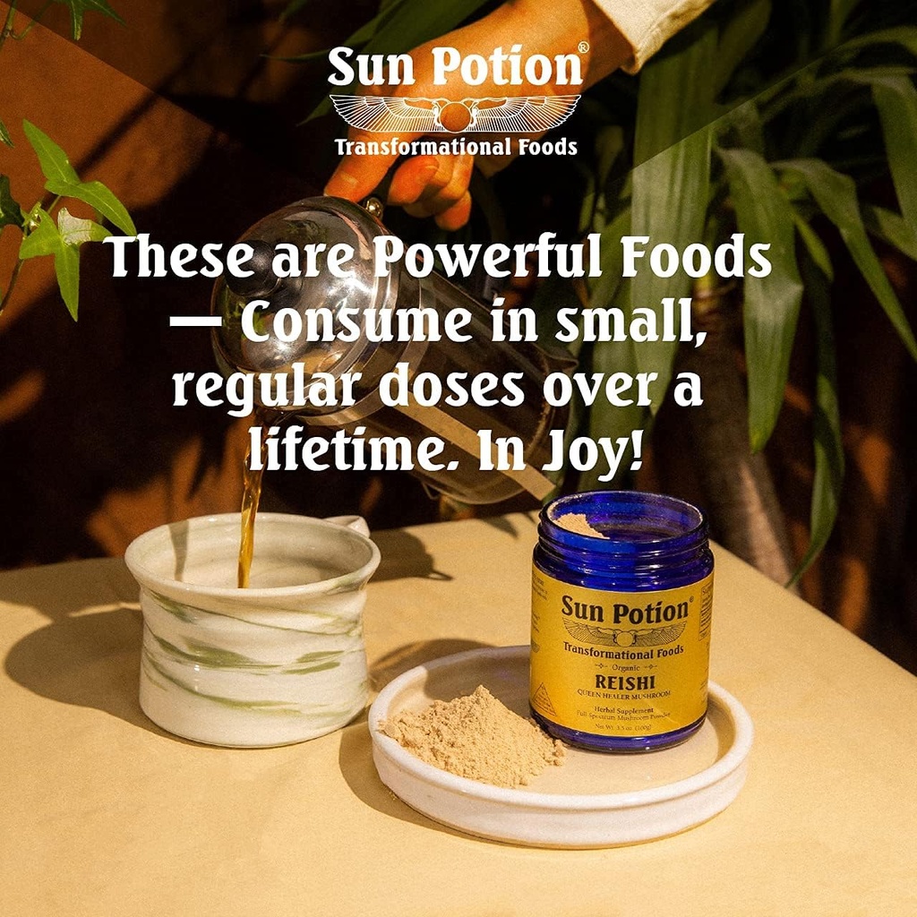 sun-potion-reishi-mushroom-powder-organi-5.jpg