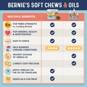 bernies-omg-omegas-chews-for-dogs---5x-e-5.jpg