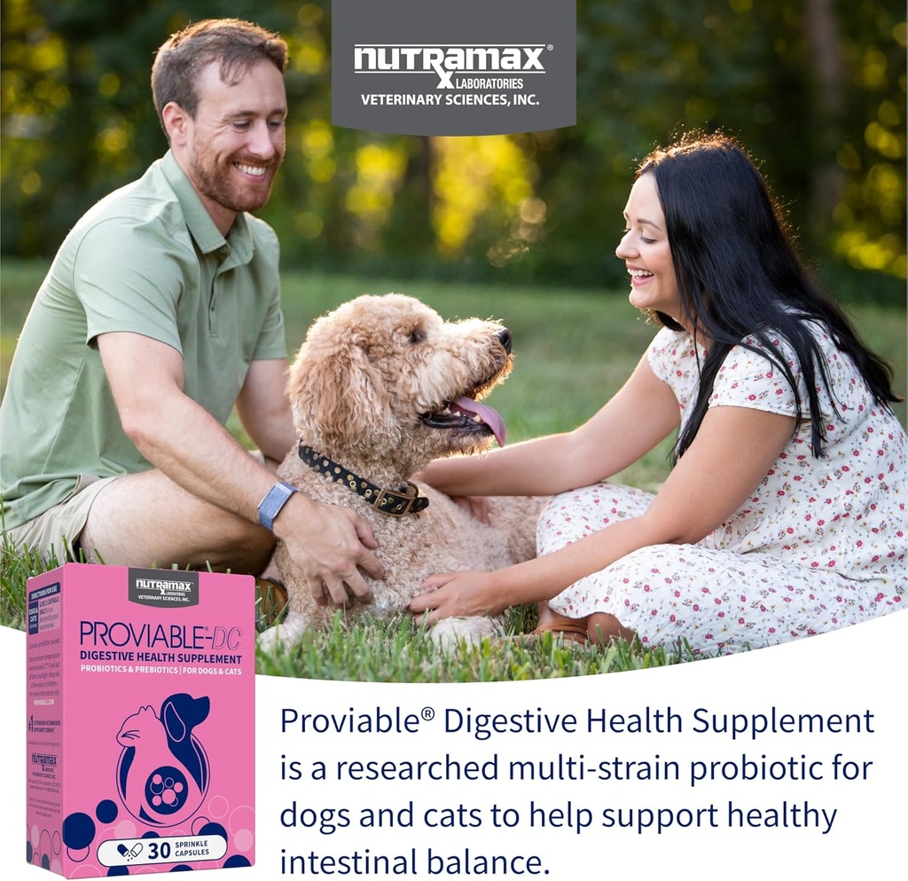 nutramax-proviable-probiotics-for-dogs-a-3.jpg