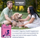 nutramax-proviable-probiotics-for-dogs-a-3.jpg