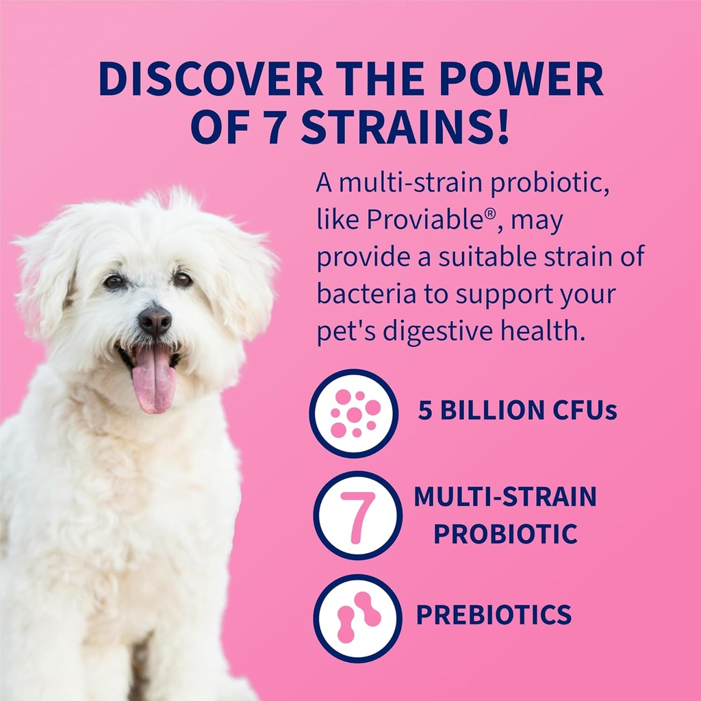nutramax-proviable-probiotics-for-dogs-a-5.jpg
