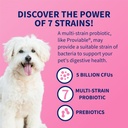 nutramax-proviable-probiotics-for-dogs-a-5.jpg