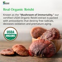 sayan-reishi-mushroom-extract-90-capsule-5.jpg